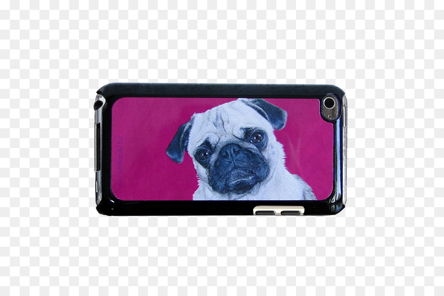 Pug，Filhote De Cachorro PNG