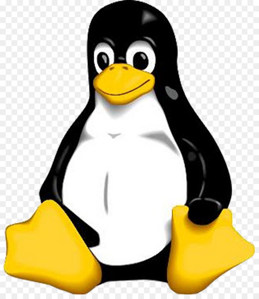 Pinguim，Pássaro PNG