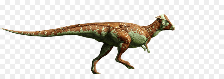 Dinossauro，Pré Histórico PNG