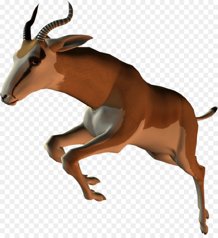 Mustang，Antelope PNG