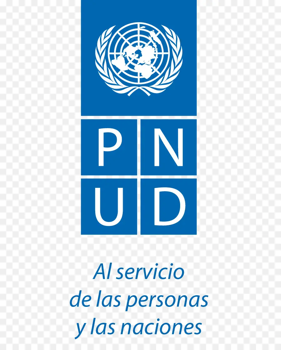 Programa Das Nações Unidas Para，Pnud PNG