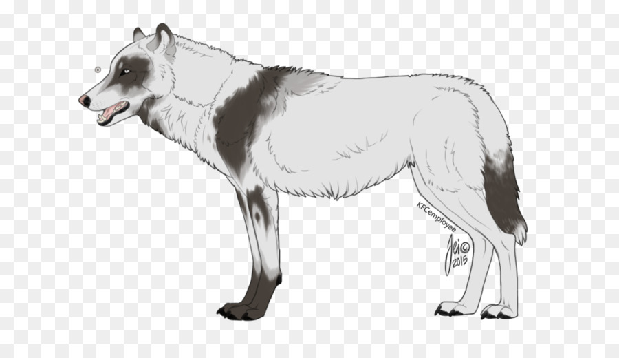 Checoslováquia Wolfdog，Raça Do Cão PNG