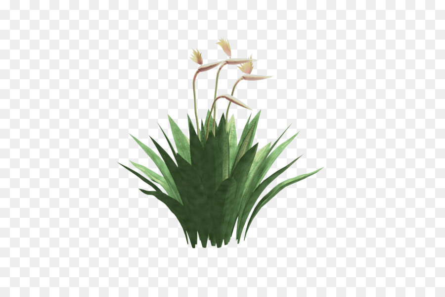 Gramíneas，Flowerpot PNG