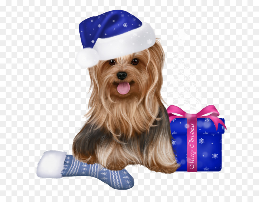 Yorkshire Terrier，Cairn Terrier PNG