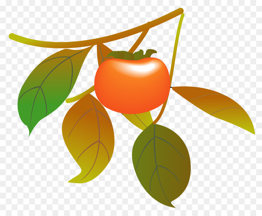 Persimmon Japonês，Pacífico Saury PNG