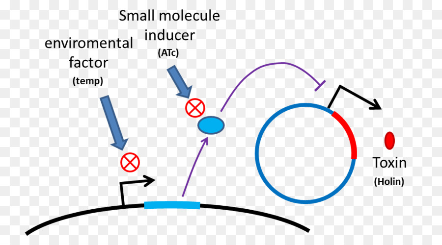 Antibióticos Tetraciclina，Tetracycline PNG