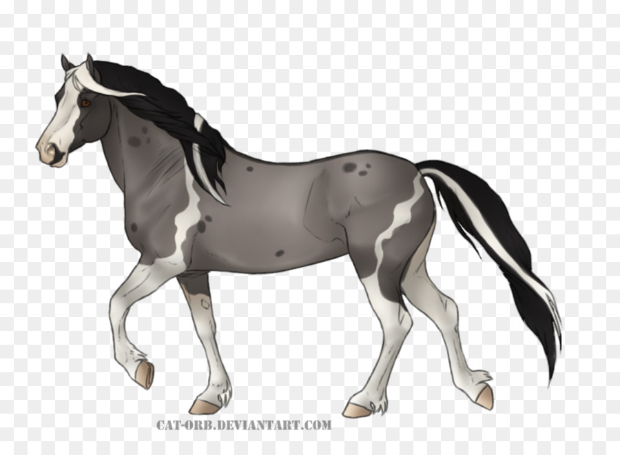 Cavalo Marrom，Equino PNG