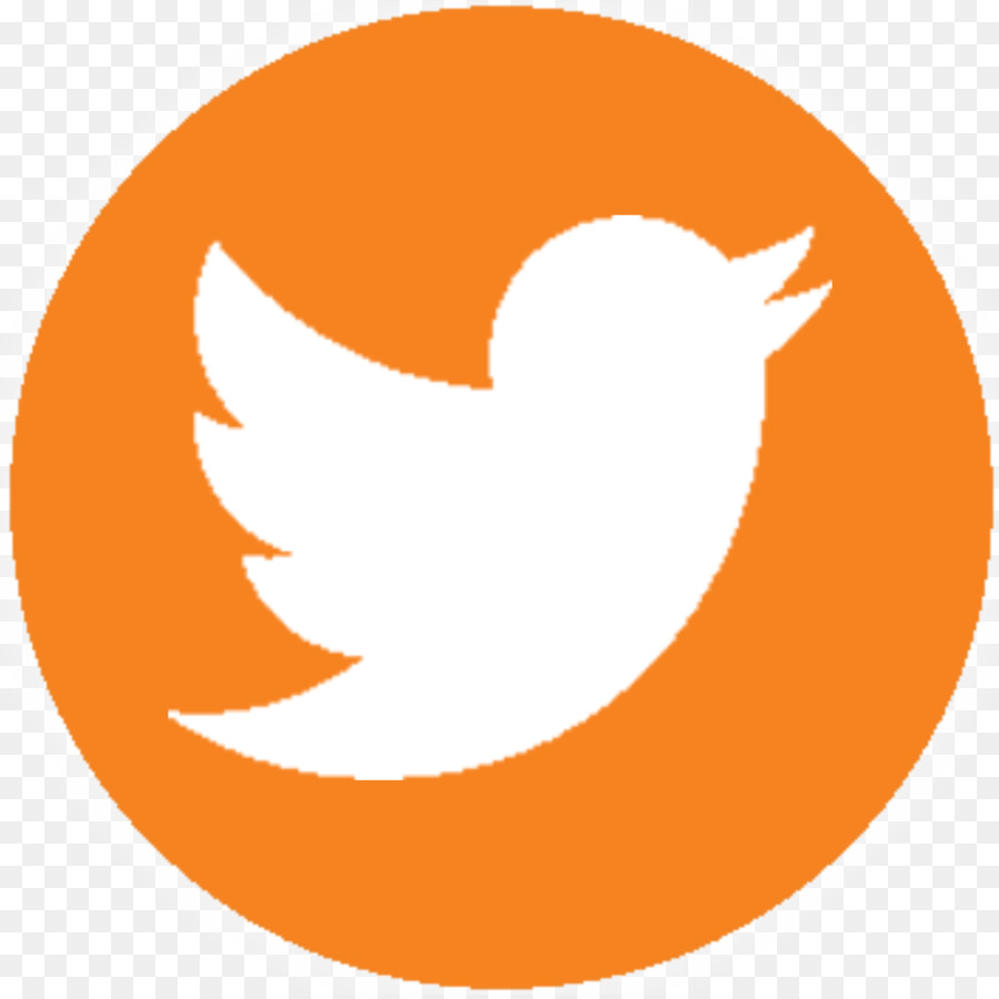 Logotipo Do Twitter，Pássaro PNG