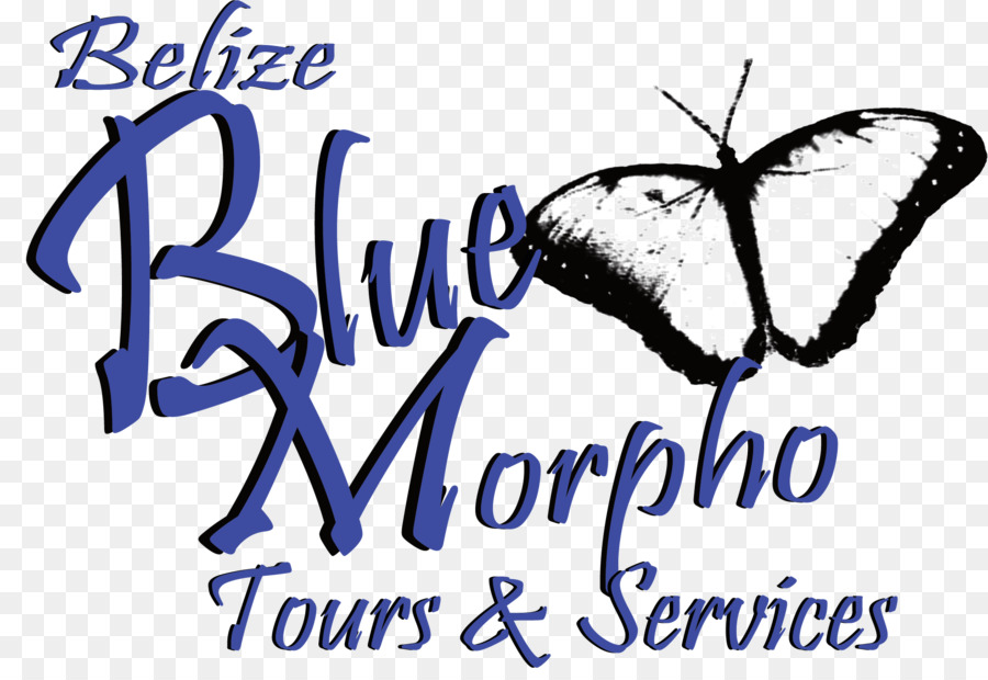 Belize Azul Morpho Passeios E Serviços，O Morpho Azul Ayahuasca Centro PNG