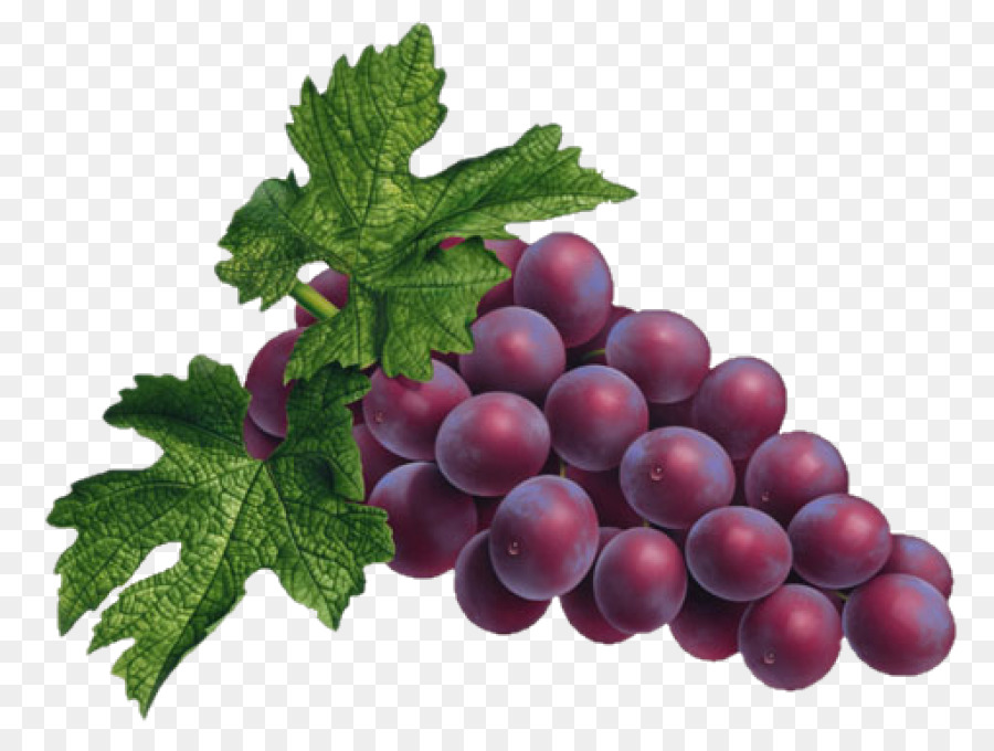 Uvas，Videira PNG