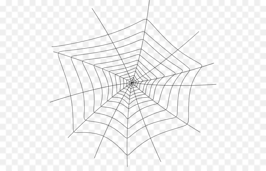 Teia De Aranha，Aranha PNG