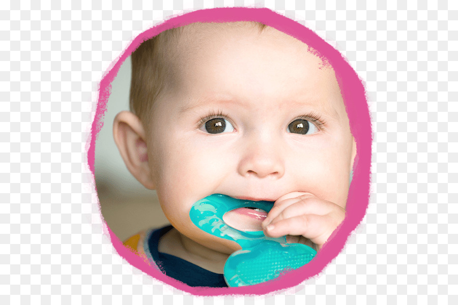 A Dentição，Alimentos Infantis PNG