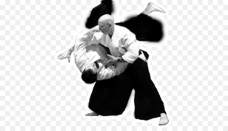 Aikido，Artes Marciais PNG