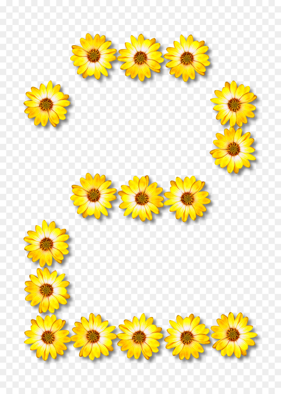 Comum De Girassol，Flor PNG