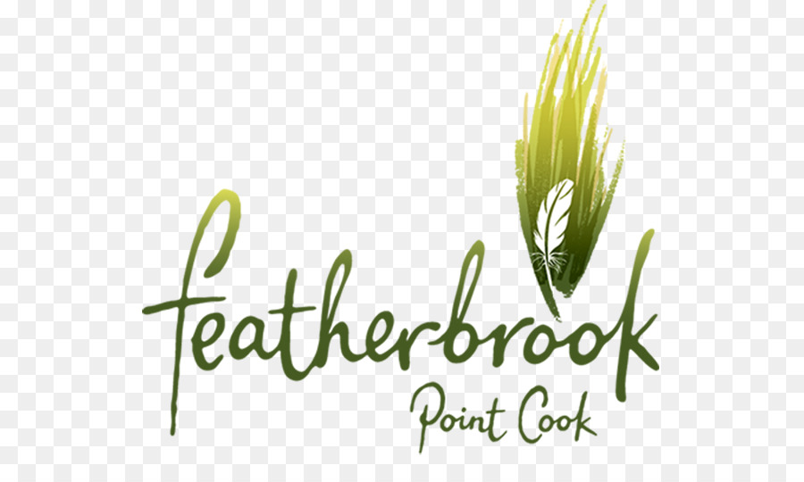 Central De Equidade Featherbrook Ponto De Cozinhar，Central De Equidade PNG