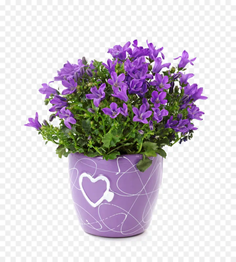 Flores Roxas，Vaso PNG