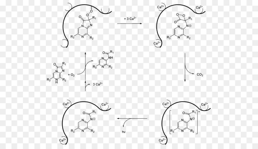 Diagrama De Reação Química，Molécula PNG