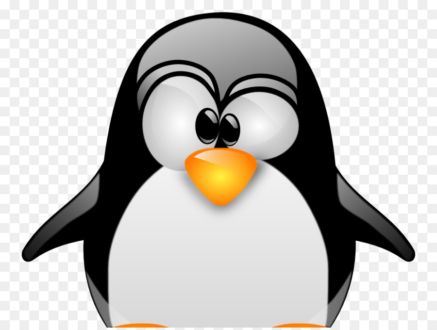 Pinguim，Pássaro PNG