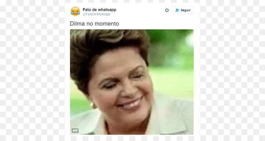 Dilma Rousseff，Impeachment De Dilma Rousseff PNG