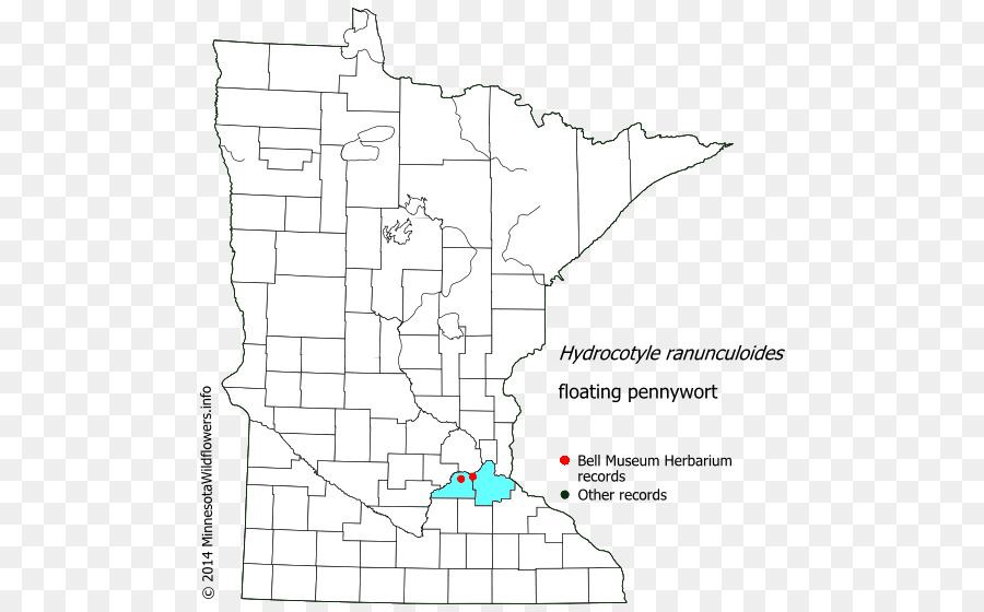 Douglas County Minnesota，Carver County Minnesota PNG