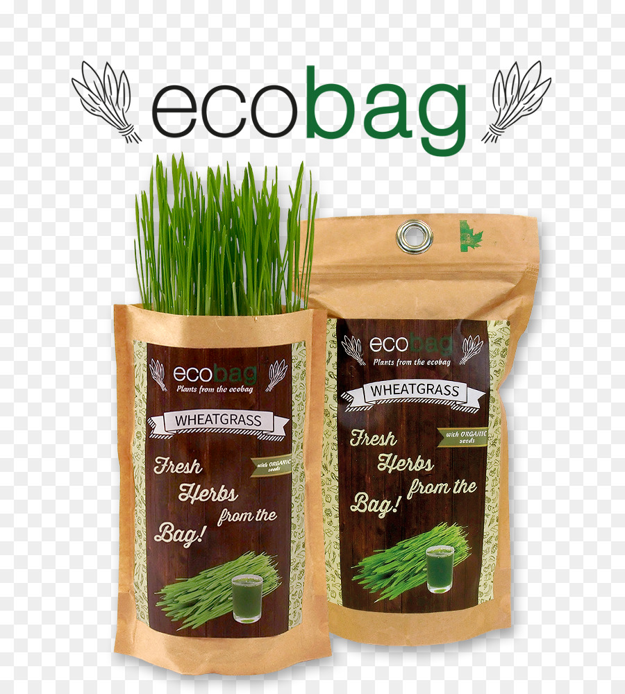 Gramíneas，Wheatgrass PNG