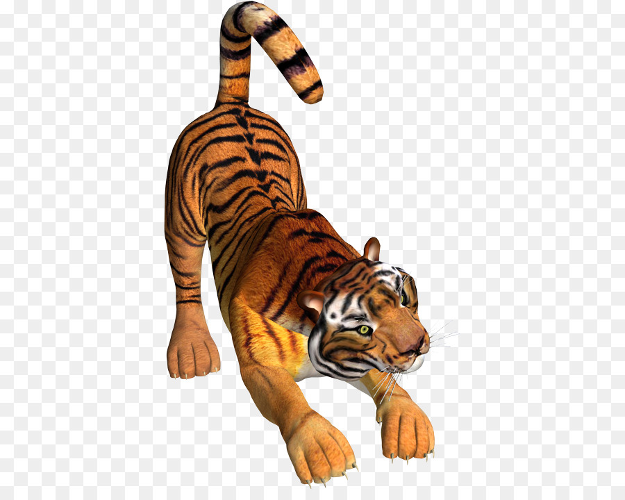 Tigre Em Pé，Gato Grande PNG