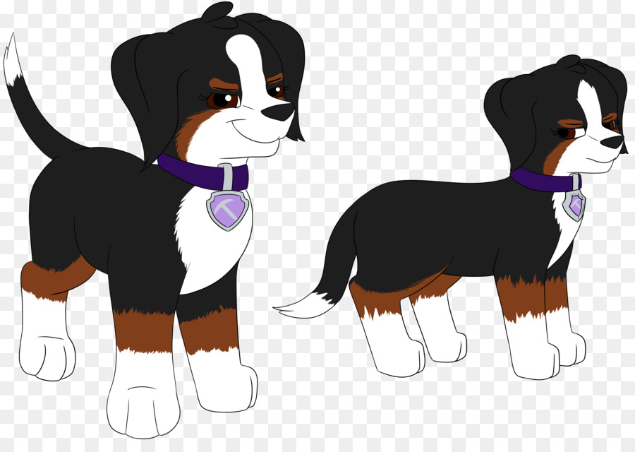 Raça Do Cão，Bernese Mountain Dog PNG