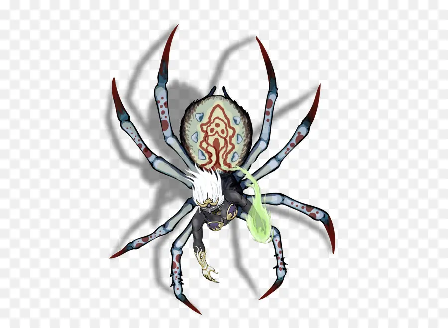 Aranha，Pernas PNG