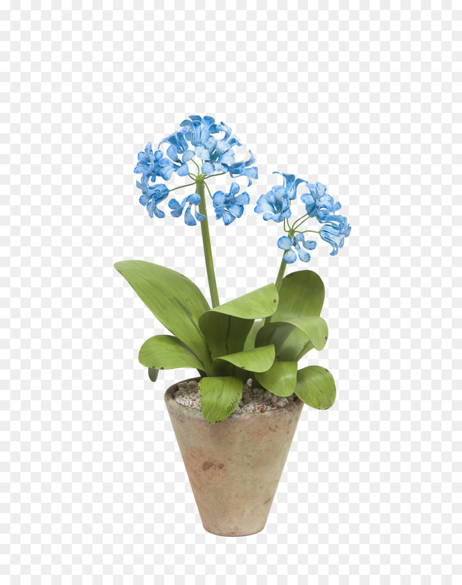 Flores Azuis，Pote PNG