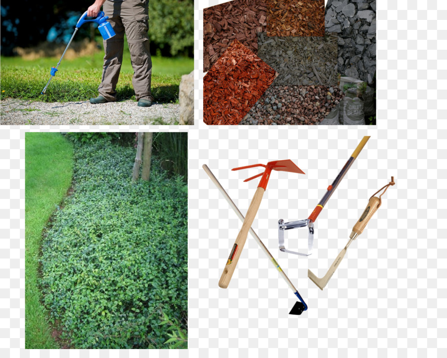 Lawn，Weed Control PNG