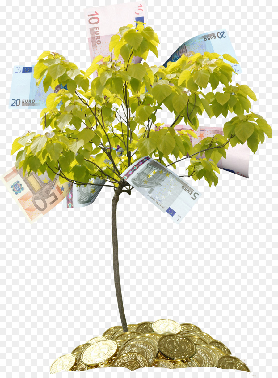 árvore，Dinheiro PNG