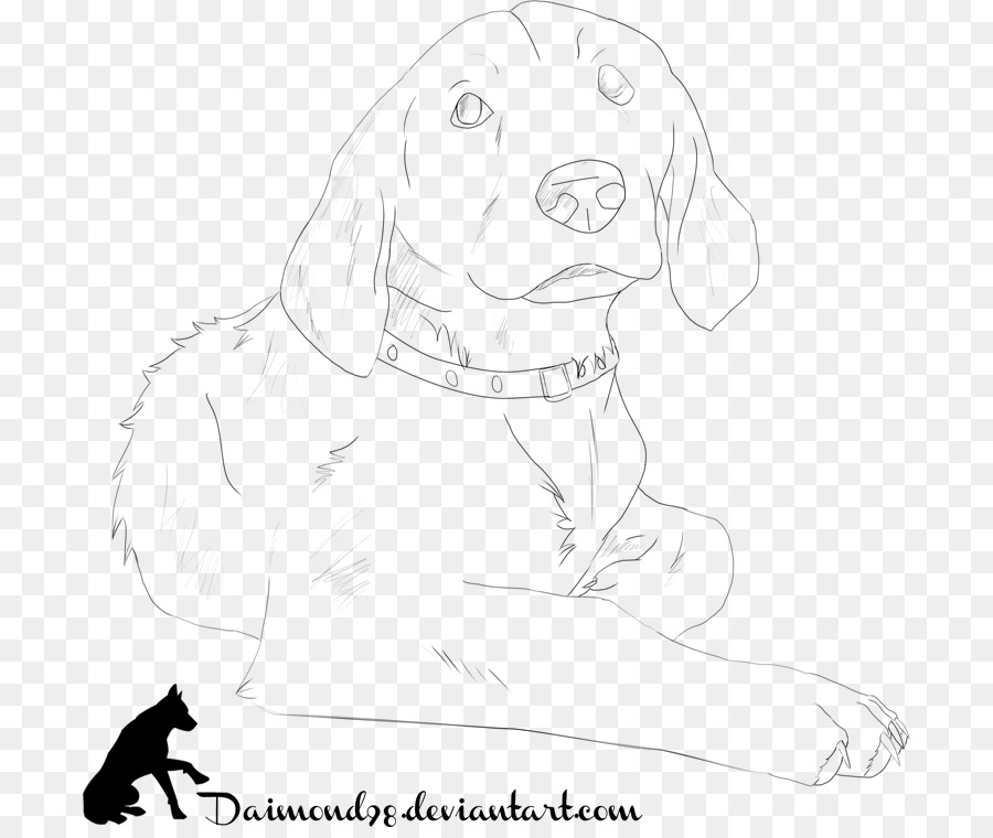 Labrador Retriever，Filhote De Cachorro PNG