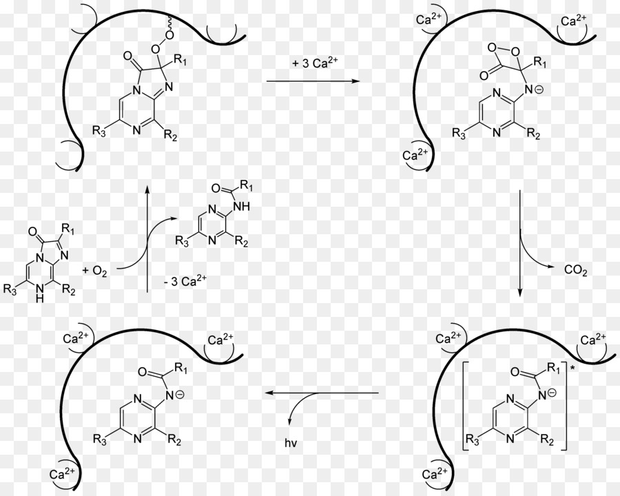 Diagrama De Reação Química，Molécula PNG