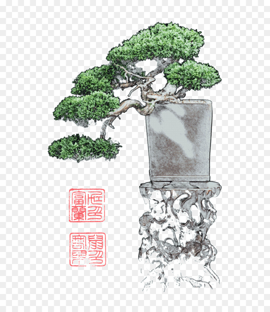 Bonsai，Flowerpot PNG