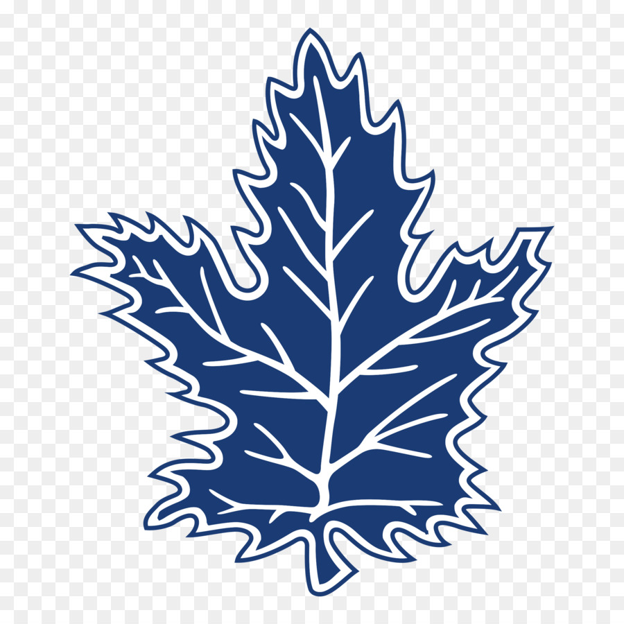 Toronto Maple Leafs，Liga Nacional De Hóquei PNG