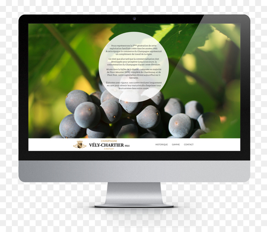 Desenvolvimento Web，Web Design PNG