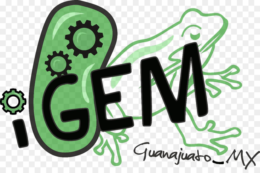 Guanajuato，International Genetically Engineered Machine PNG