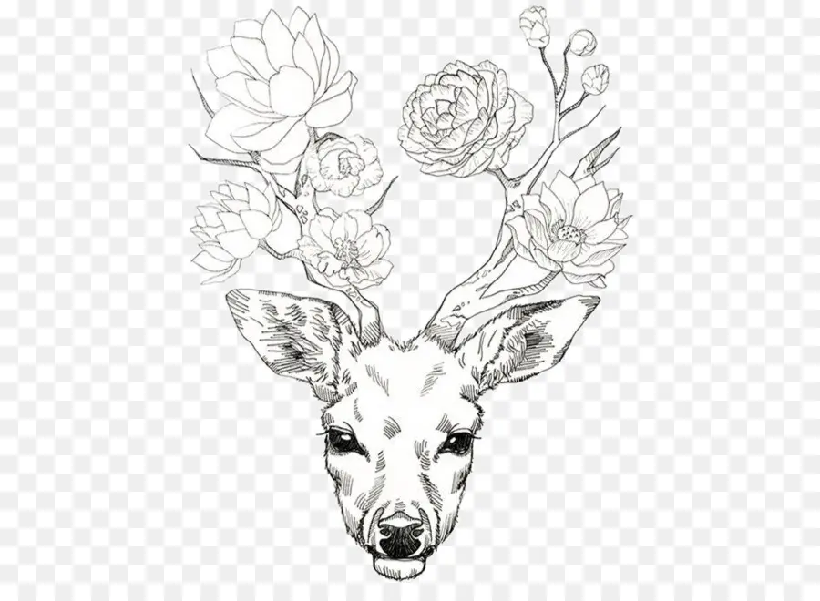 Deer，Antler PNG