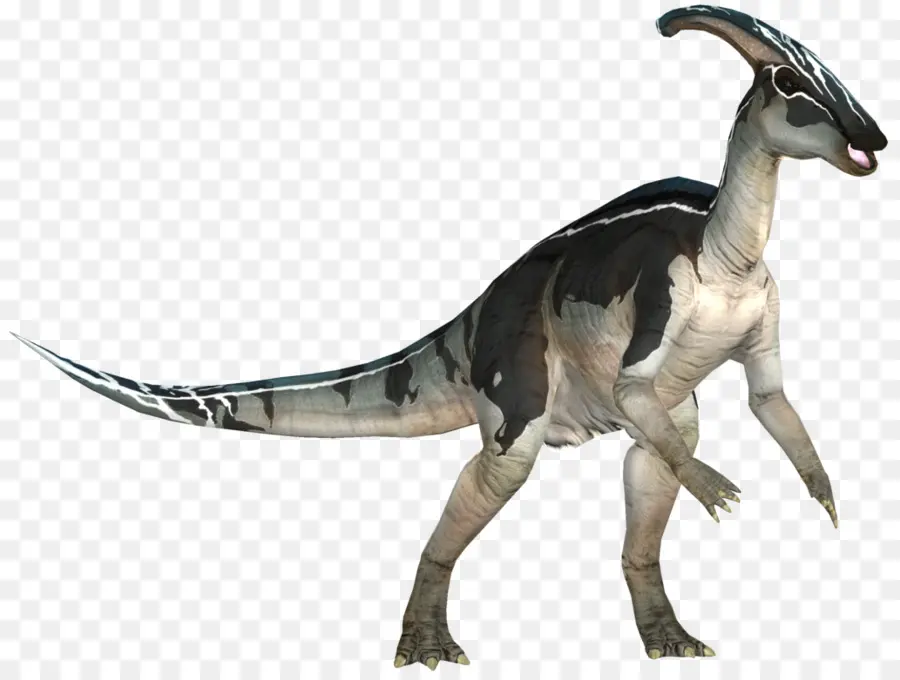 Velociraptor，Parasaurolophus PNG
