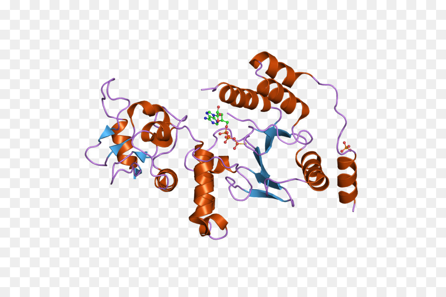 Estrutura Proteica，Molécula PNG