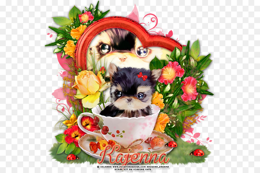 Raça Do Cão，Shih Tzu PNG