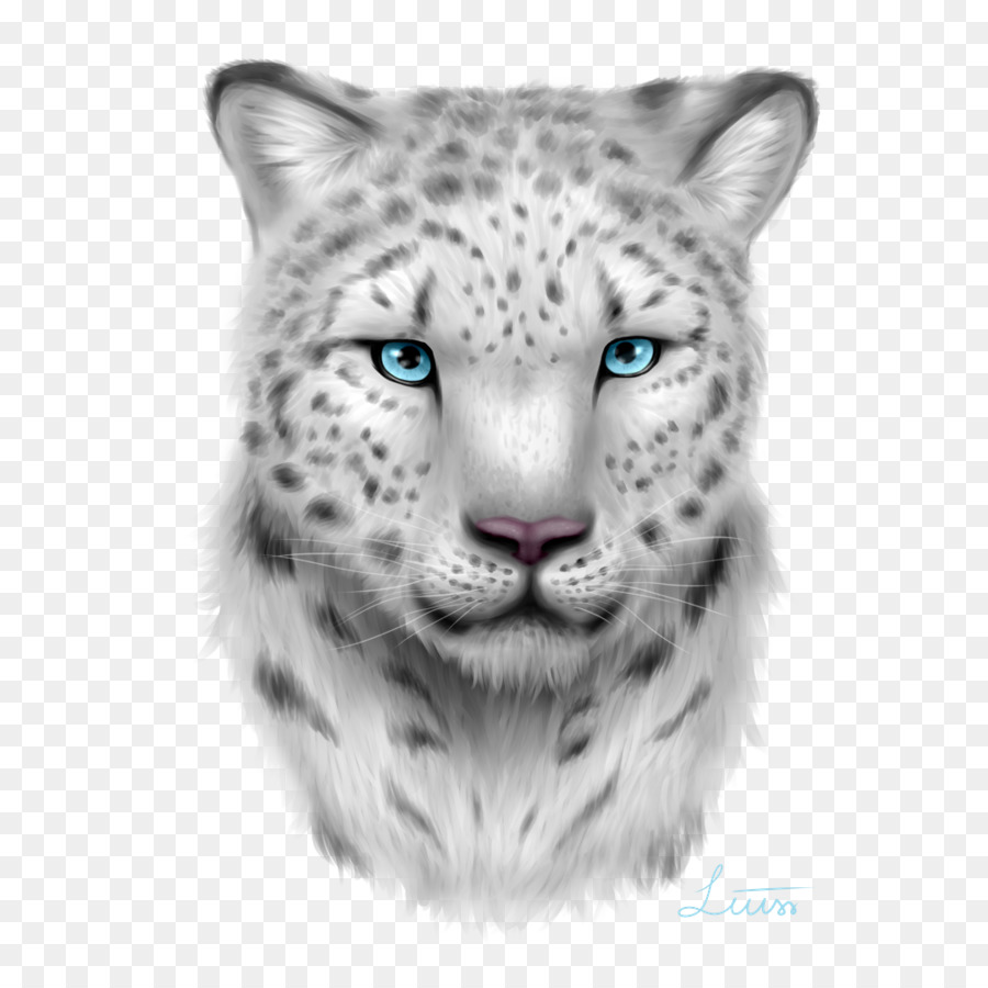 Leopardo Da Neve，Animais Selvagens PNG