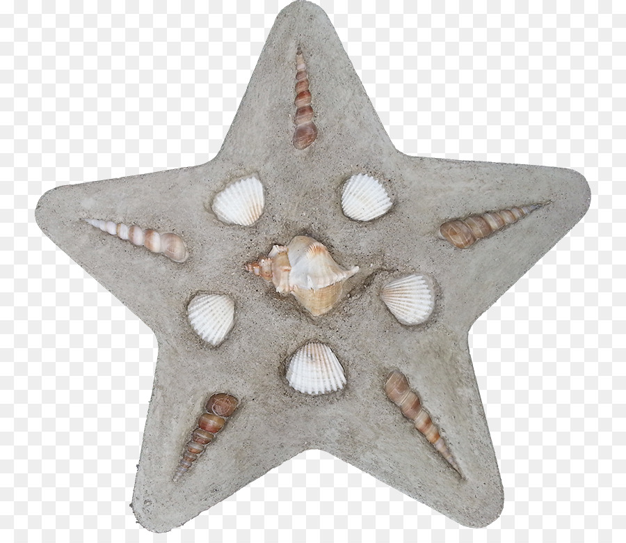 Estrela，Shell Estrelas PNG