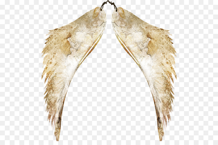 Asas De Anjo，Asas PNG