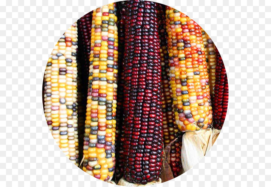 Morelia，Maize PNG