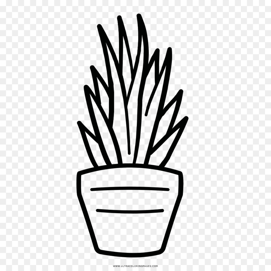 Flowerpot，Hm PNG