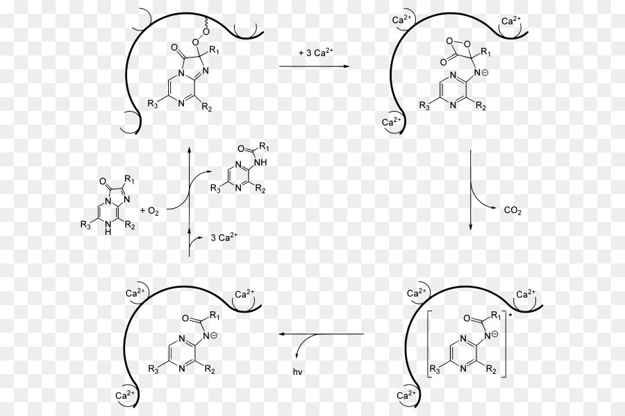 Diagrama De Reação Química，Molécula PNG