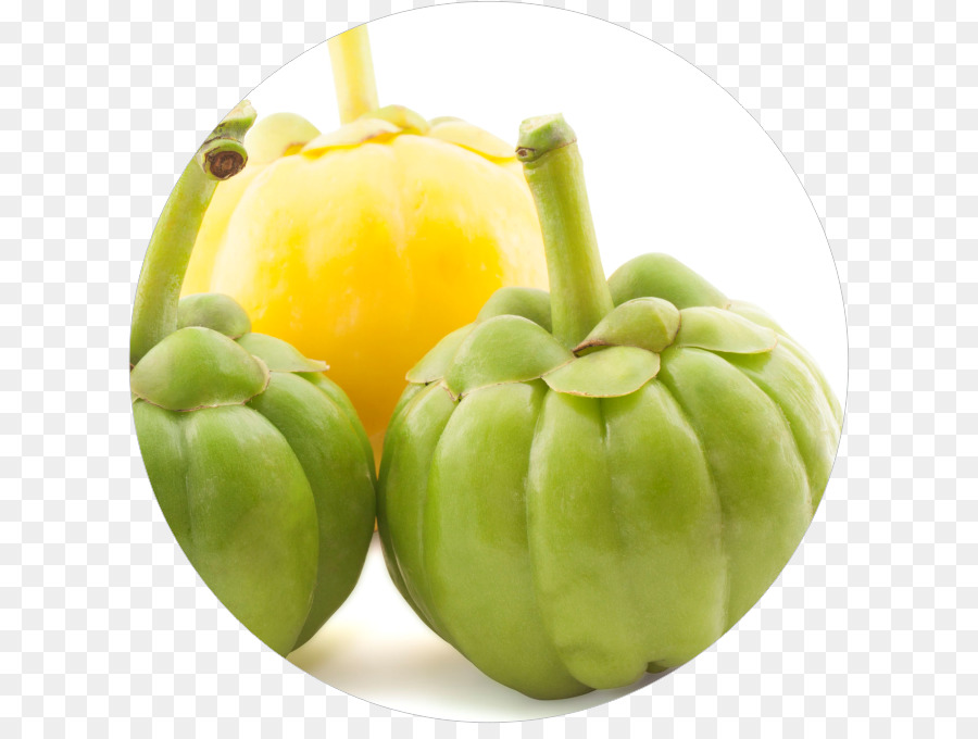 Garcinia Cambogia，Suplemento Alimentar PNG