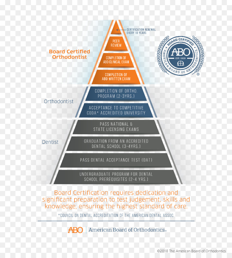 Conselho De Certificação，Ortodontia PNG
