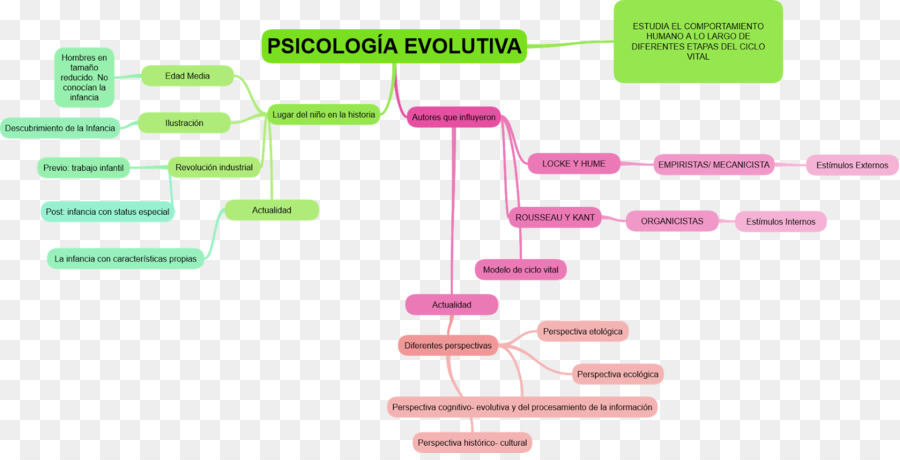 Psicologia Evolutiva，Behaviorism PNG